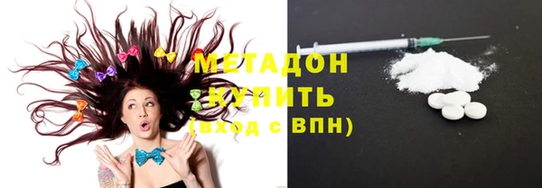 мет Алексин