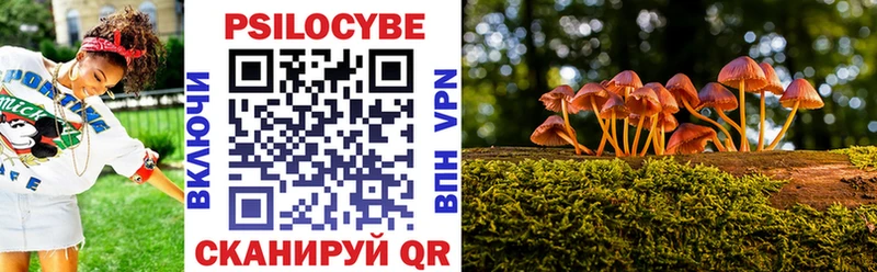 купить наркотики сайты  Южно-Сухокумск  Галлюциногенные грибы прущие грибы 