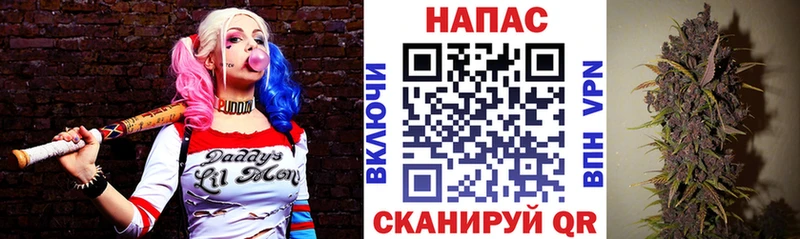 цены   Южно-Сухокумск  Канабис White Widow 